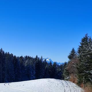 Stockreutehof - Sulzberg - 6