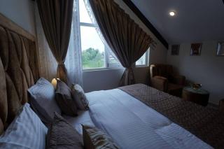 Walisons Homestay Spirea 1 BHK plus 1 Sofa Bed Apartment - Srinagar - 6