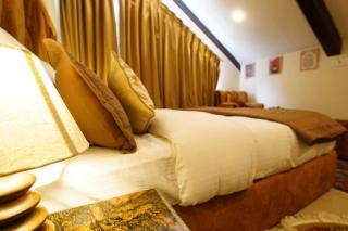 Walisons Homestay Spirea 1 BHK plus 1 Sofa Bed Apartment - Srinagar - 1