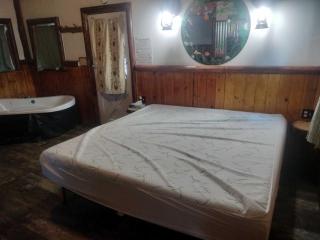 Big Bear Lake - Tulip Lane Cabin #24 - 2