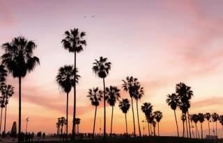 Chic Studio on the Promenade - Los Angeles - 8