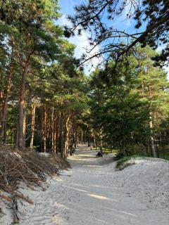 Jesionowa 3 Domki - 8