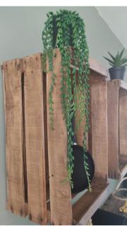 Appartement très proche mer Rez de jardin 5 pers - 6