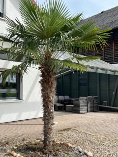 Apartment Sandperle nahe A5 und EUROPAPARK - Willstätt - 4