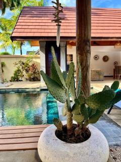 Searenity Villa - Grand-Baie - 1