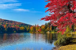 Serenity by the lake - Eden - 6