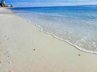 Dunes of Panama - Panama City Beach - 0
