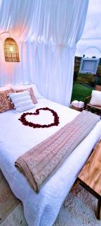 The Hunter Valley Star Gazing BubbleHotel - Mulbring - 9