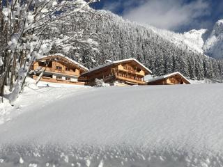 Haus Fernwald Top Jill und Rens - 9