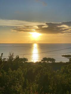 にらい恩納　あじさい - 7