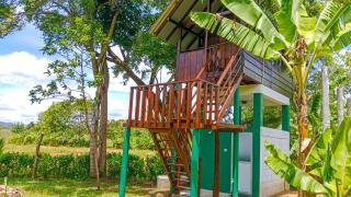 Pride Rock Villa & Tree House - 8