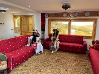 Sanae house - - 9