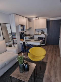 Hermoso Apartamento de 1 Dormitorio - Santiago - 6