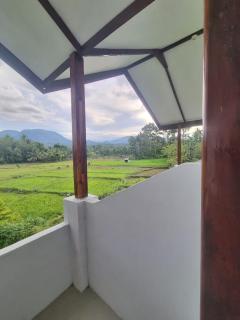 Sawah Resto Bungalow & Jungle Trekking - Bukit Lawang - 2