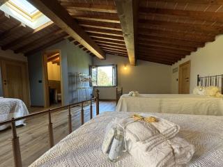 House in Tuscany near Pisa & Lucca - 3