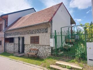 Ubytování ve sklepě - Mikulčice - 7