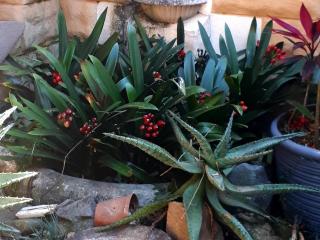 Eden Guest House - Mbabane - 5