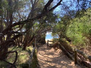 Beach Park Phillip Island - Cabins - Cowes - 6