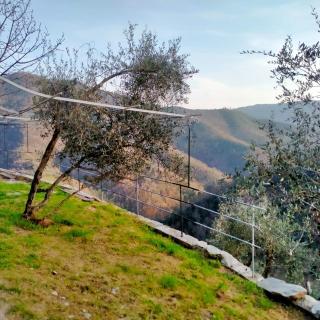 Arca di Ne - Terisso - 2