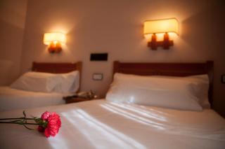 Hospedium Hotel Castilla - 5