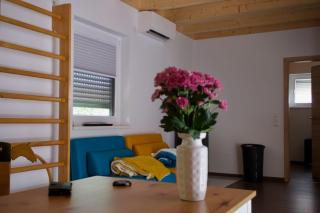 Tinyhouse für Gesundheitsbewusste - 1