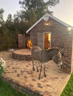 Rivier-Plesier Cottage at Riggton River Farm - Bonnievale - 0
