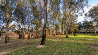 Deniliquin Riverside Caravan Park - Deniliquin - 7