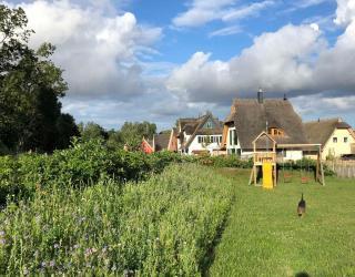 E13 Reetdachhaus "MaLeLuV" mit Kamin & Sauna Ostseebad Rerik - Neu Gaarz - 3
