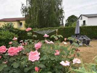 G2 FeWos und Gesundheit Ostseebad Rerik - Rerik - 6
