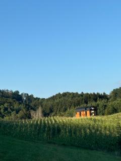 ZuHause im Freien - Stockach - 0
