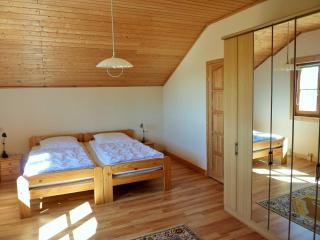 H12 Holz-Ferienhaus Haffblick Russow nahe Ostseebad Rerik - 4