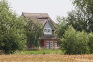 H10 Ostsee Ferienhaus Emmy Huus No 10 Rerik - Neu Gaarz - 5