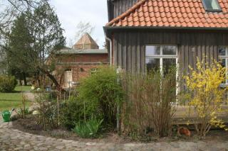 Landhaus Alte Schule nahe Ostseebad Rerik XL - Alt Bukow - 6