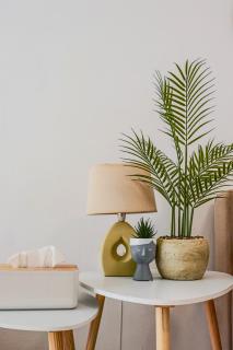 Diana HATS 1B, Pool, Paphos Center - 1