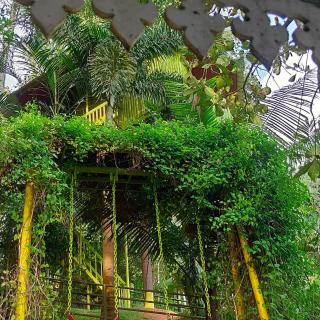 Gems villa - Anachal - 2