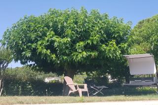 Sous le Grand Pin Piscine & Spa Gîtes Éden en Cévennes à Anduze Gard - 5
