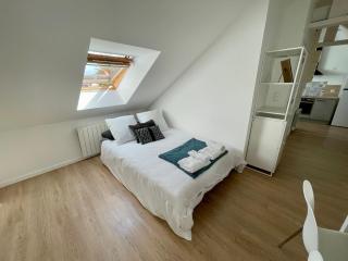 façon loft vaste T2 residence du haras - - 1