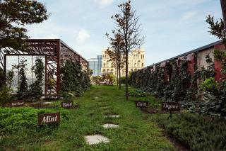 JW Marriott Absheron Baku Hotel - 2
