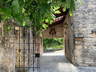 Villa Pedra Natural Houses - Alvorge - 7
