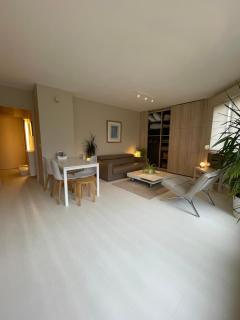 Appartement ,superbe terrasse 40m2 , vieux Lille , centre ville - Lille - 7