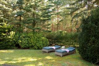 Haus Waldidyll am Briesensee - 3