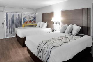 Econo Lodge Carlsbad Caverns Area - Carlsbad - 0