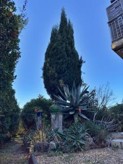 Appart T2 -4 pers- rez-de-jardin proche plage -3 étoiles- - Le Pradet - 4