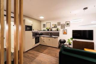 Green Garden Sauna Apartment - Brno - 8