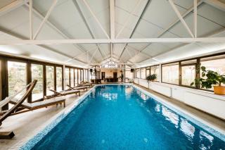 Hidden Hills Villa - Ţipăreşti - 9
