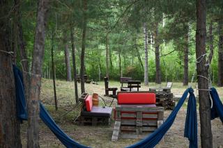 The Woodland pool house - 2