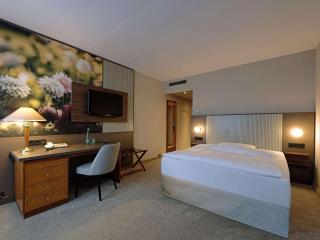Mercure Hotel Gera City - Gera - 4