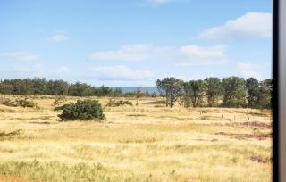 Lovely Home In Skagen With Kitchen - Skagen - 1