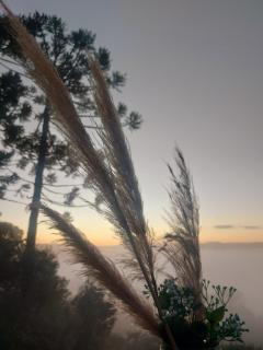 Chalé com banheira de hidromassagem e mesa de sinuca - 9