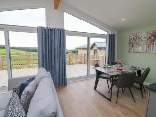 Cove Lodge - Ilfracombe - 1